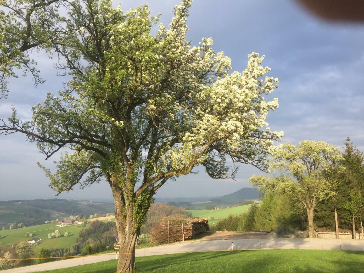 Ferienwohnungen Koessl Waidhofen an der Ybbs Exteriér fotografie