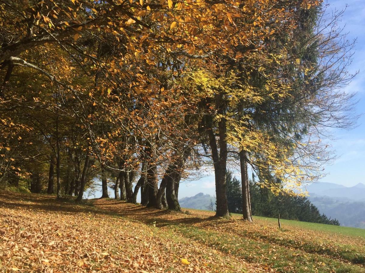 Ferienwohnungen Koessl Waidhofen an der Ybbs Exteriér fotografie