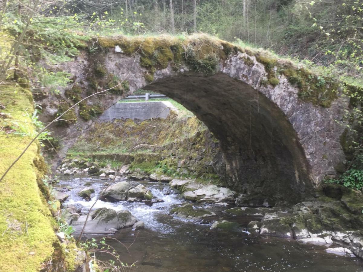 Ferienwohnungen Koessl Waidhofen an der Ybbs Exteriér fotografie