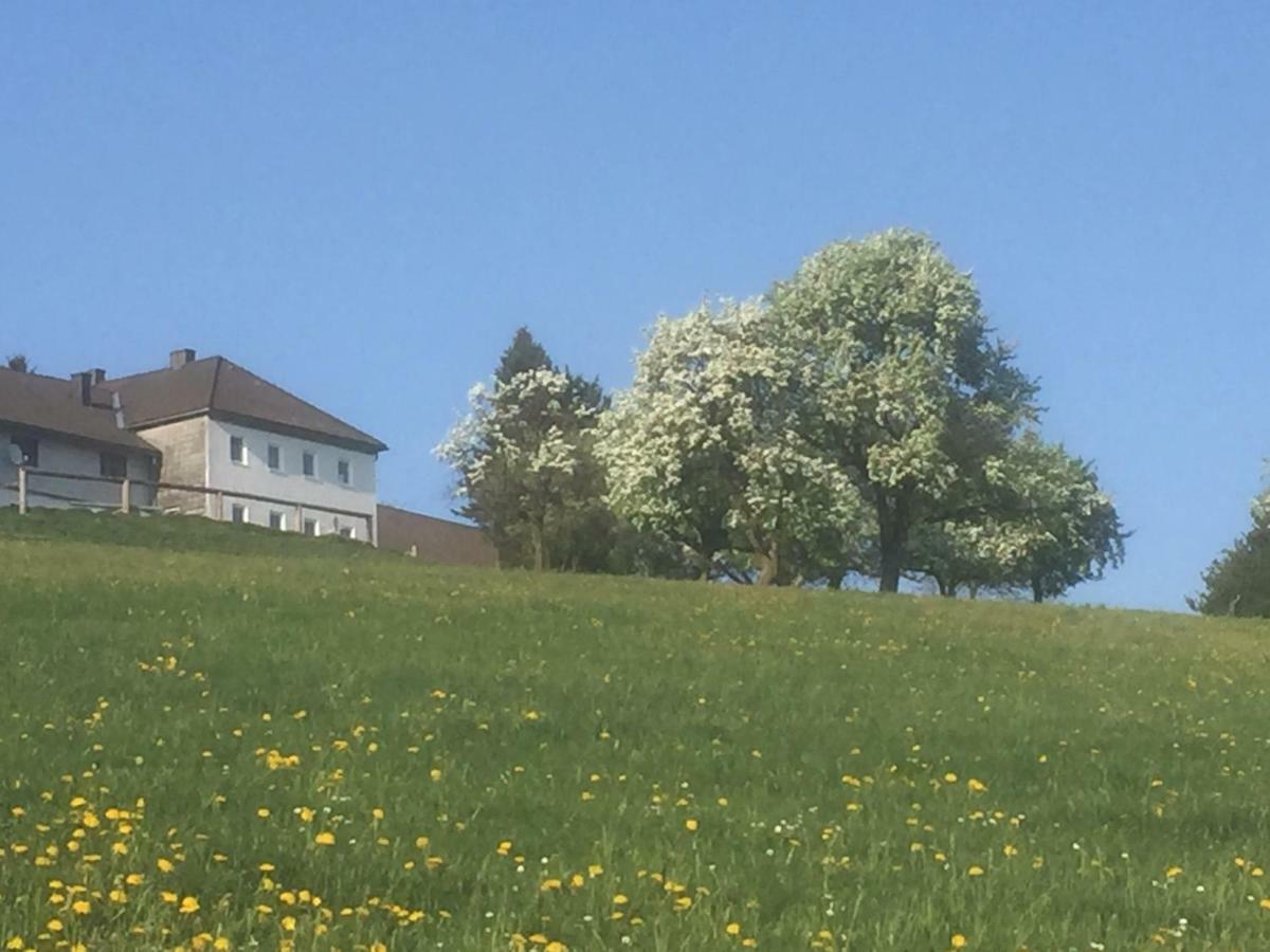 Ferienwohnungen Koessl Waidhofen an der Ybbs Exteriér fotografie