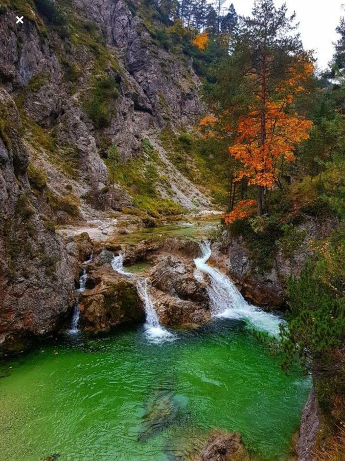 Ferienwohnungen Koessl Waidhofen an der Ybbs Exteriér fotografie