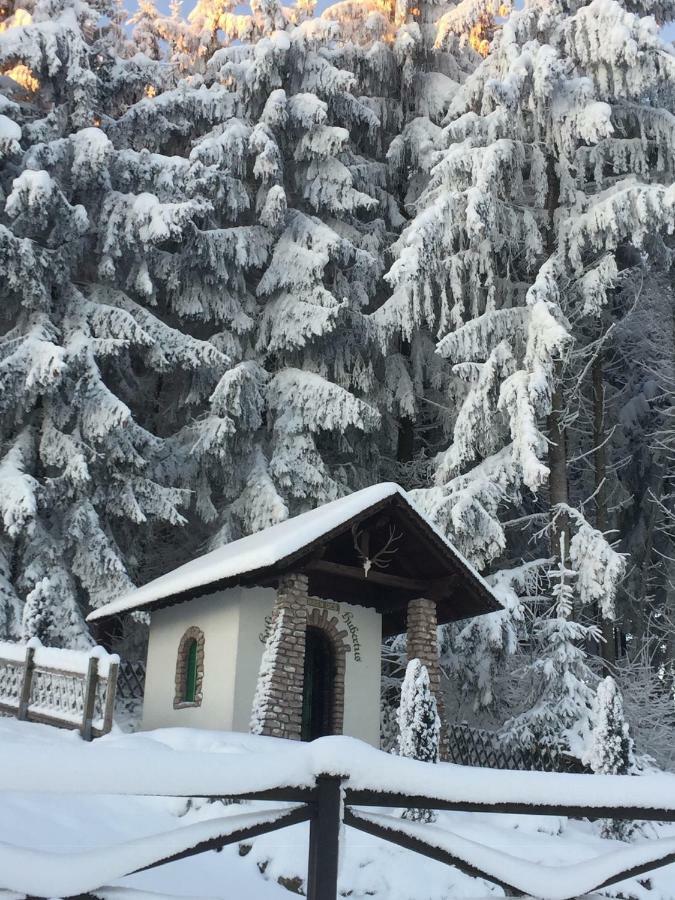 Ferienwohnungen Koessl Waidhofen an der Ybbs Exteriér fotografie
